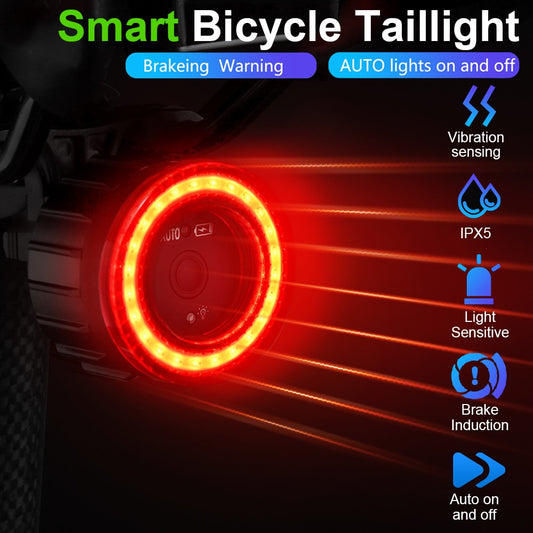 Intelligentes Bike-Rücklicht (Bremsfunktion)